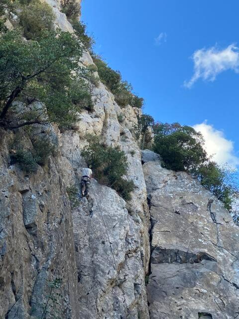 Appartement Le Jutini Caunes-Minervois ภายนอก รูปภาพ