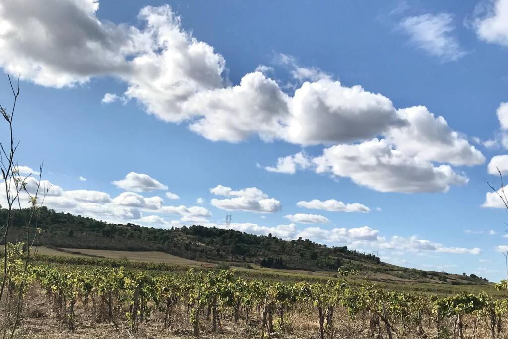Appartement Le Jutini Caunes-Minervois ภายนอก รูปภาพ